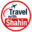 travelwithshahin.com favicon